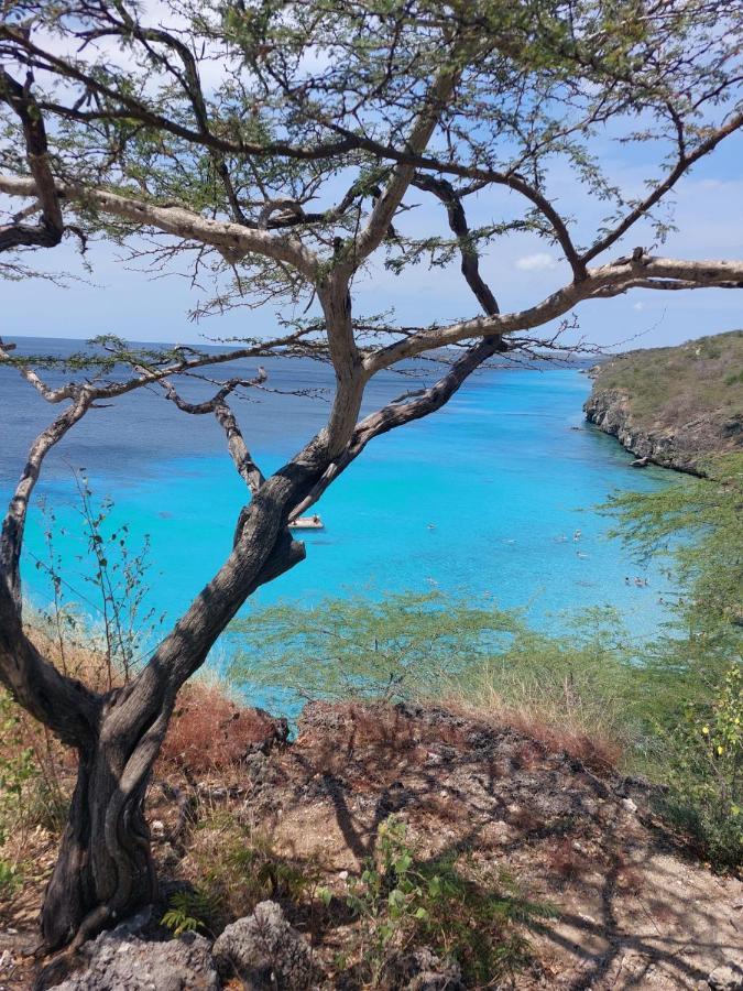 Caribbean Beach Resort Blenchi Curacao Вилемстад Екстериор снимка